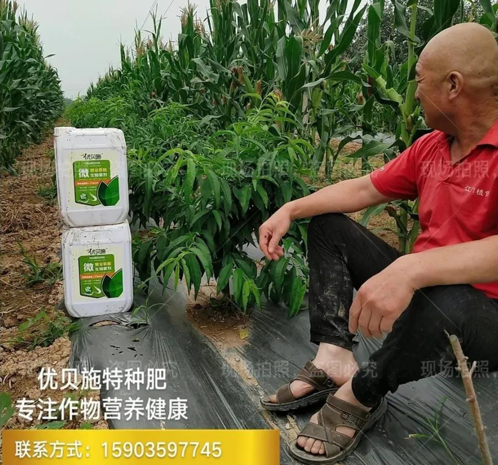 谈球吧app:肥料产业“十五五”专题 氮肥行业现状及发展趋势